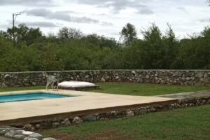 Veterinaria &rdquo; San Marcos&rdquo;