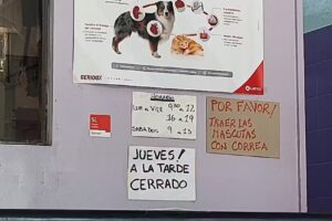 Veterinaria San Martin