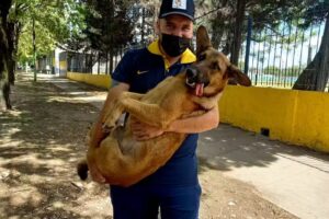 VETERINARIA San Martín