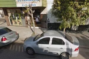 Veterinaria San Mart&iacute;n