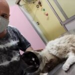 Veterinaria San Patricio