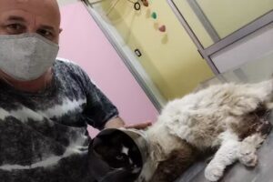 Veterinaria San Patricio