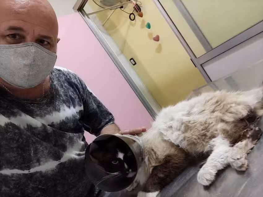 Veterinaria San Patricio