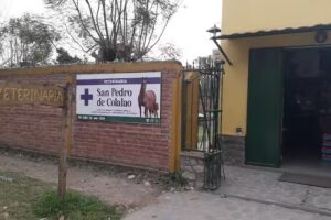 Veterinaria San Pedro de Colalao
