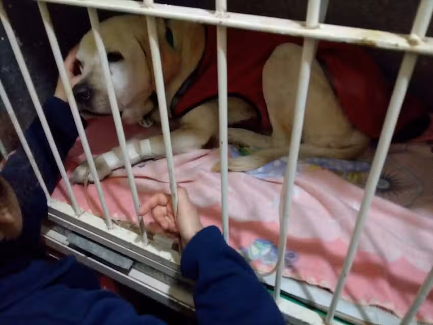 Veterinaria San Roque