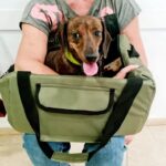 VETERINARIA SAN ROQUE