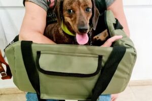 VETERINARIA SAN ROQUE