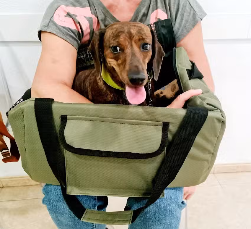 VETERINARIA SAN ROQUE