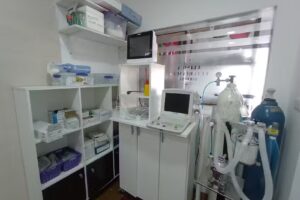 Veterinaria SAN ROQUE