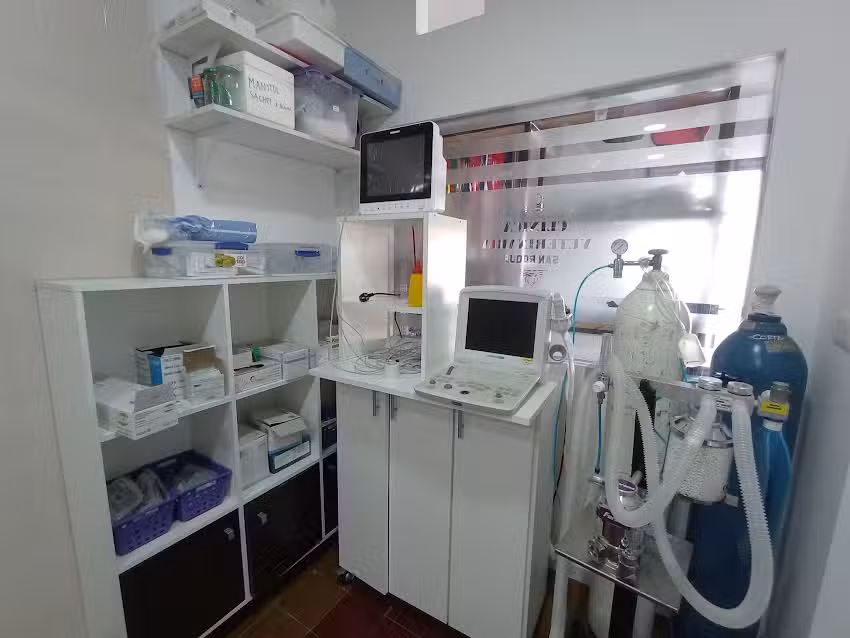 Veterinaria SAN ROQUE