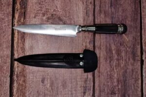 Veterinaria Santa Delfina