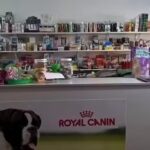 VETERINARIA SANTIAGO