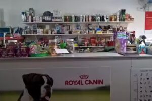 VETERINARIA SANTIAGO