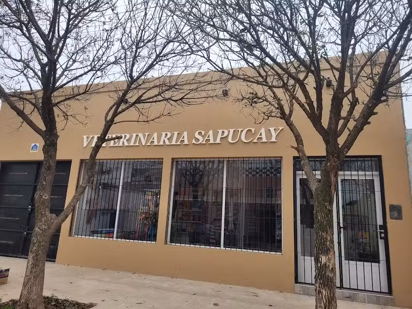 Veterinaria &ldquo;Sapucay&rdquo;