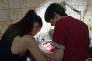 VETERINARIA SILVESTRE