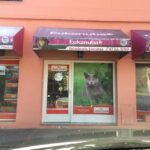 Veterinaria Socrates