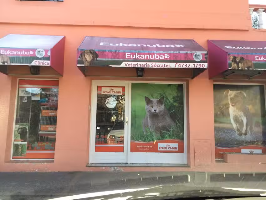 Veterinaria Socrates