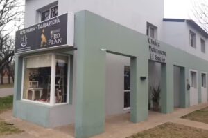 Veterinaria Talabarter&iacute;a El sue&ntilde;o