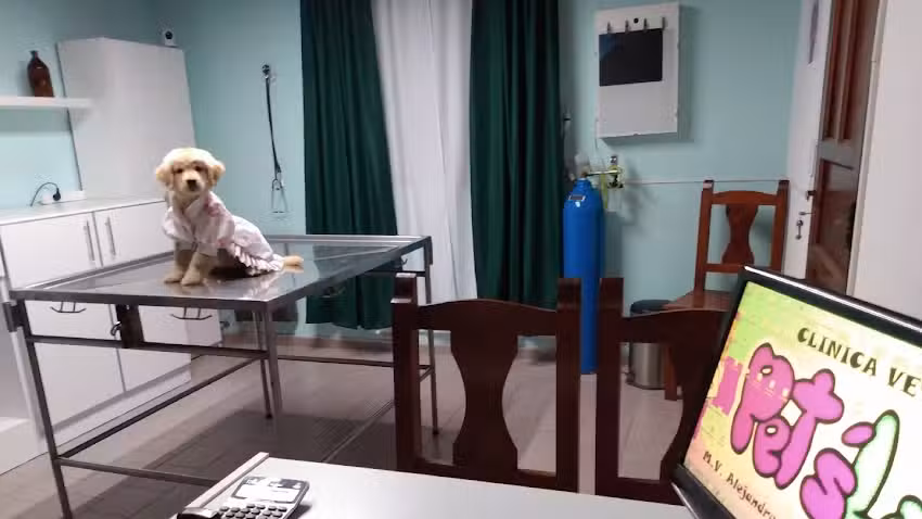 Veterinaria Tierra de Mascotas