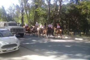 VETERINARIA TIERRA SABIA