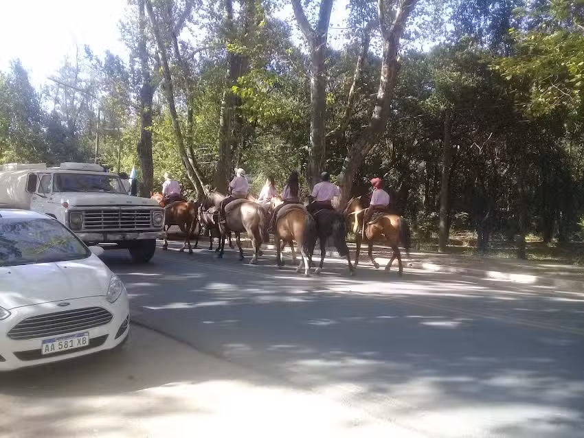 VETERINARIA TIERRA SABIA