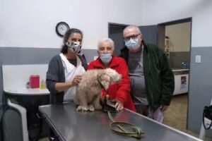 Veterinaria Timb&uacute;