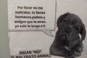 Veterinaria Tres Cerros