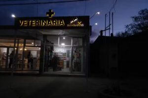 VETERINARIA TRES PICOS