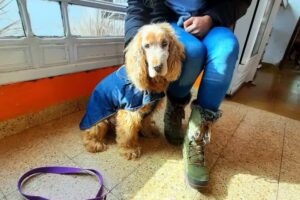 Veterinaria Tu Pampa