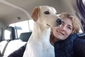 Veterinaria Ugarteche