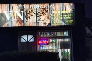 Veterinaria Vaca Negra