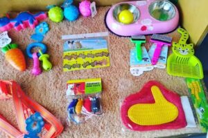 Veterinaria Valent&iacute;n