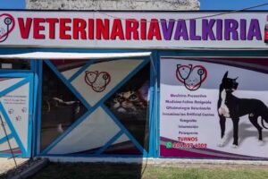 VETERINARIA VALKIRIA