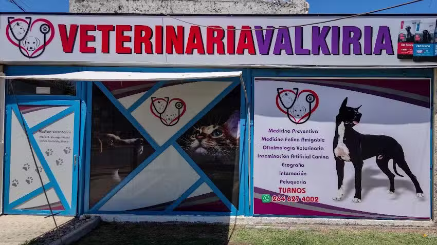 VETERINARIA VALKIRIA