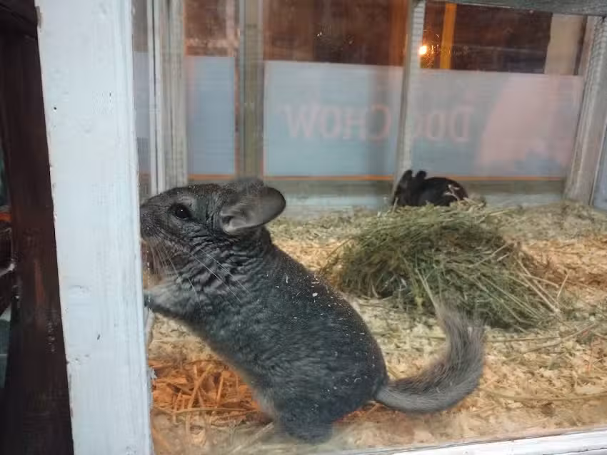 Veterinaria Velasquez