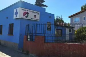 Veterinaria Veronica it