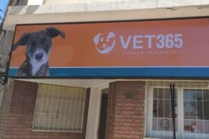 Veterinaria VET365