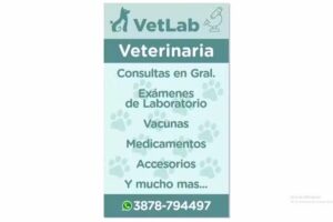 Veterinaria VetLab