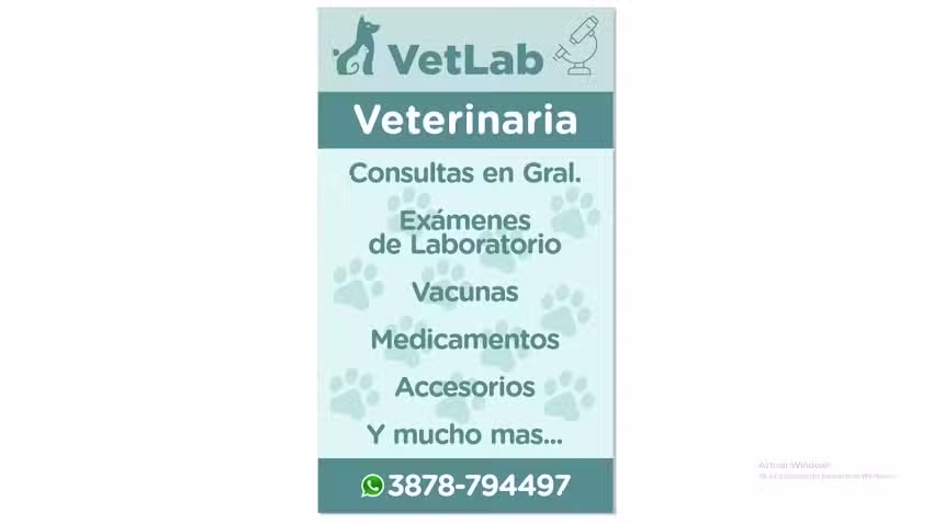 Veterinaria VetLab