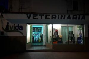 Veterinaria Vida