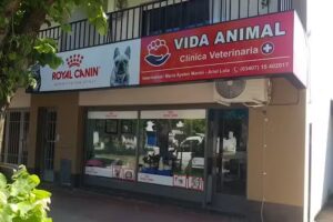 Veterinaria vida animal