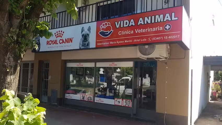 Veterinaria vida animal