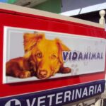 VETERINARIA VIDANIMAL