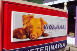VETERINARIA VIDANIMAL