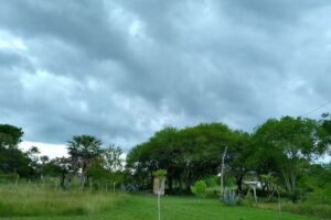 Veterinaria “Villa del Carmen”