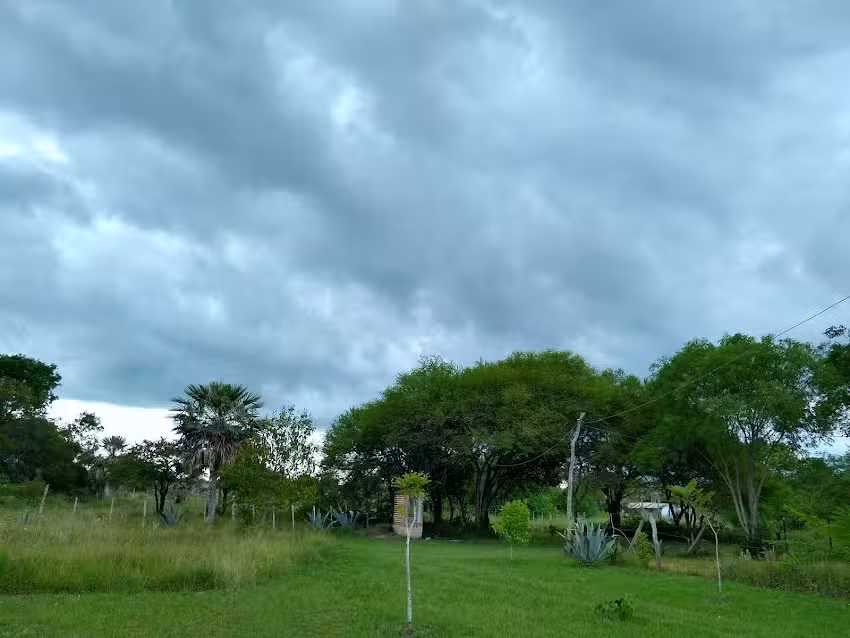 Veterinaria &ldquo;Villa del Carmen&rdquo;