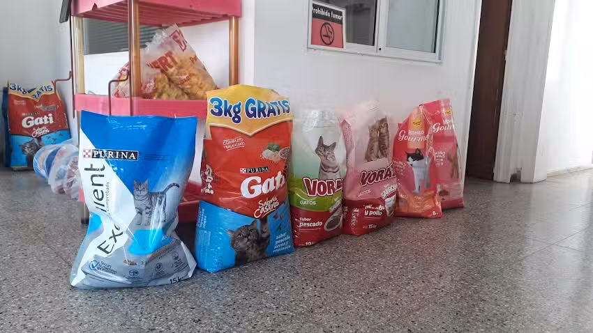 Veterinaria Von Seelen Dr Larsen Claudio