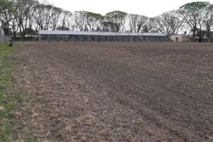 Veterinaria Westefn Union