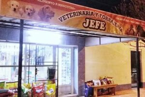 Veterinaria Y Forrajeria Jefe