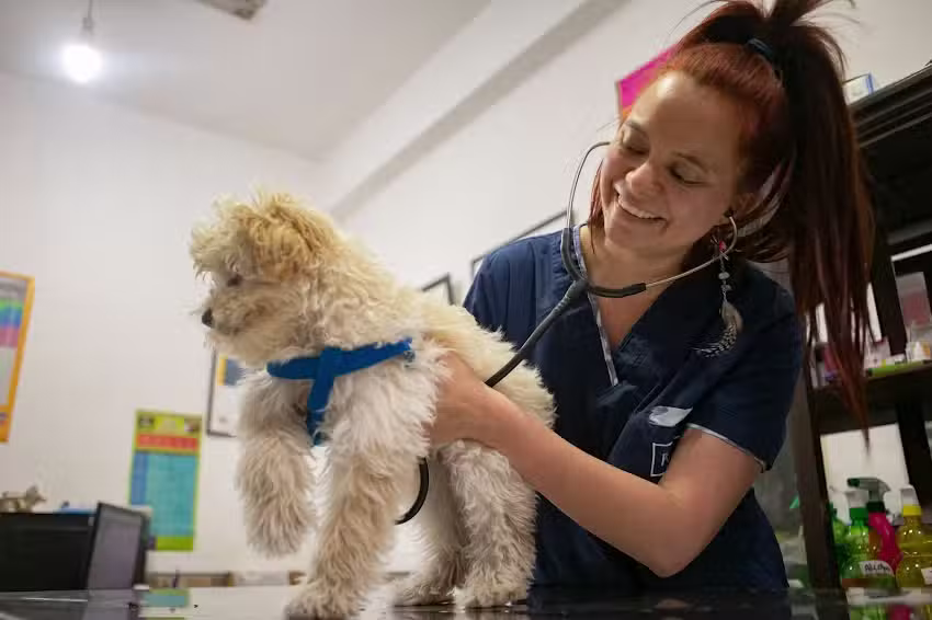 Veterinaria y Pet Shop &ldquo;Los Canarios de Balvanera&rdquo; &ndash; Asociaci&oacute;n Argentina de Canaricultura Roller